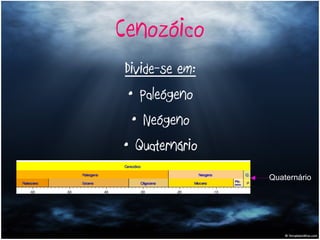Cenozóico Divide-se em: Paleógeno Neógeno Quaternário Quaternário 