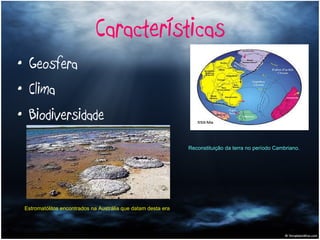 Características Geosfera Clima Biodiversidade Reconstituição da terra no período Cambriano.   Estromatólitos encontrados na Austrália que datam desta era   