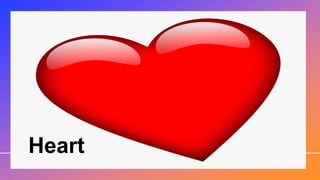 Heart
 