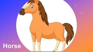 Horse
 