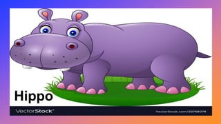 Hippo
 
