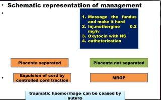 Mathrgine Inj PPH.pptx obstetrics and gynecology in nursing | PPTX