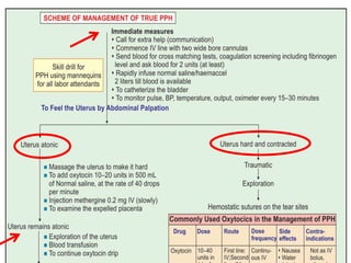 post partum haemorrhage | PPTX