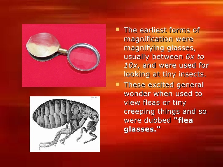 History of the Microscope