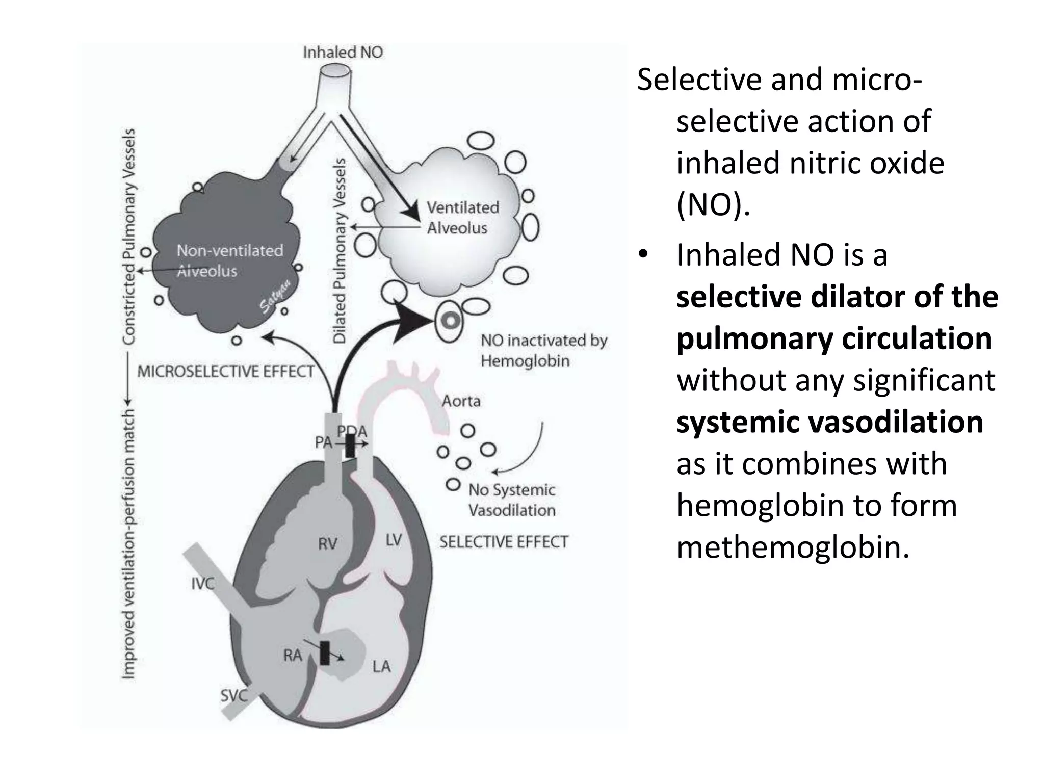Selective and micro-
selective action of
inhaled nitric oxide
(NO).
• Inhaled NO is a
selective dilator of the
pulmonary circulation
without any significant
systemic vasodilation
as it combines with
hemoglobin to form
methemoglobin.
 