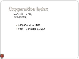 Pphn management | PPSX