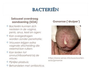 BACTERIËNBACTERIËN
Seksueel overdraag
aandoening (SOA)
 Bacteriën kunnen zich
nestelen in de vagina,
penis, anus, keel en ogen;
 Kan overgedragen
worden zonder penetratie;
 Vrouwen krijgen extra
vaginale afscheiding die
vreemd kan ruiken;
 Kan leiden tot
onvruchtbaarheid bij de
vrouw;
 Pijnlijke plasbuis;
 Behandelen met antibiotica.
Gonorroe (‘druiper’)
https://www.sense.info/soas/soorten-
soas/gonorroe
 