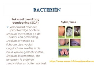 BACTERIËNBACTERIËN
Seksueel overdraag
aandoening (SOA)
 Veroorzaakt door een
spiraalvormige bacterie.
Stadium 1: zweertjes op de
plaats van besmetting.
Stadium 2: vlekken op
lichaam, ziek, voelen
oogklachten, wratjes in de
buurt van de geslachtsdelen.
Stadium 3: sluimerfase, die
langzaam je organen,
zenuwstelsel en botten aantast.
Syfilis/ lues
https://www.sense.info/soas/soorten-so
 