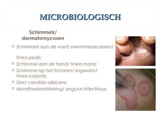 MICROBIOLOGISCHMICROBIOLOGISCH
Schimmels/
dermatomycosen
 Schimmels aan de voet/ zwemmerseczeem/
tinea pedis;
 Schimmel aan de hand/ tinea manis;
 Schimmel op het lichaam/ ringworm/
tinea corporis;
 Gist/ candida albicans;
 Mondhoekontsteking/ angulus infectiosus.
 