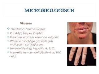 MICROBIOLOGISCHMICROBIOLOGISCH
Virussen
 Gordelroos/ herpes zoster;
 Koortslip/ herpes simplex;
 Gewone wratten/ verrucae vulgaris;
 Weke wratachtige gezwelletjes/
molluscum contagiosum;
 Leverontsteking/ hepatitis A, B, C;
 Menselijk immuun deficiëntievirus/ HIV;
- Aids.
 