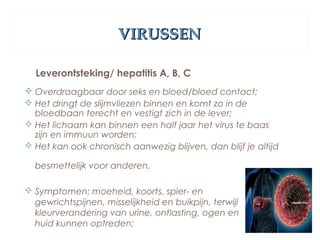 VIRUSSENVIRUSSEN
Leverontsteking/ hepatitis A, B, C
 Overdraagbaar door seks en bloed/bloed contact;
 Het dringt de slijmvliezen binnen en komt zo in de
bloedbaan terecht en vestigt zich in de lever;
 Het lichaam kan binnen een half jaar het virus te baas
zijn en immuun worden;
 Het kan ook chronisch aanwezig blijven, dan blijf je altijd
besmettelijk voor anderen.
 Symptomen: moeheid, koorts, spier- en
gewrichtspijnen, misselijkheid en buikpijn, terwijl
kleurverandering van urine, ontlasting, ogen en
huid kunnen optreden;
 