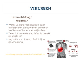 VIRUSSENVIRUSSEN
Leverontsteking/
hepatitis A
 Wordt veelal overgedragen door
uitwerpselen en door eten en water
wat besmet is met menselijk afval;
 Twee tot zes weken na infectie breekt
de ziekte uit;
 Hepatitis vaccinatie, biedt 15 jaar
bescherming.
https://www.youtube.com/watch?v=HW6QQKj_f-k
 