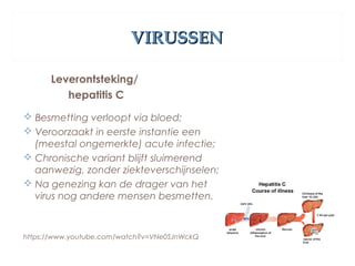 VIRUSSENVIRUSSEN
Leverontsteking/
hepatitis C
 Besmetting verloopt via bloed;
 Veroorzaakt in eerste instantie een
(meestal ongemerkte) acute infectie;
 Chronische variant blijft sluimerend
aanwezig, zonder ziekteverschijnselen;
 Na genezing kan de drager van het
virus nog andere mensen besmetten.
https://www.youtube.com/watch?v=VNe0SJnWckQ
 