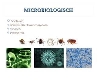 MICROBIOLOGISCHMICROBIOLOGISCH
 Bacteriën;
 Schimmels/ dermatomycose;
 Virussen;
 Parasieten.
 