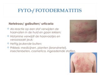 FYTO-/ FOTODERMATITIS
Netelroos/ galbulten/ urticaria
 Als reactie op een stof verwijden de
haarvaten in de huid en gaan lekken;
 Histamine verwijdt de haarvaatjes en
veroorzaakt jeuk;
 Heftig jeukende bulten;
 Prikkels: medicijnen, planten (brandnetel),
insectenbeten, cosmetica, ingeademde stoffen.
 