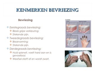 KENMERKEN BEVRIEZINGKENMERKEN BEVRIEZING
Bevriezing
 Eerstegraads bevriezing:
 Bleek grijze verkleuring;
 Stekende pijn.
 Tweedegraads bevriezing:
 Blaarvorming;
 Stekende pijn.
 Derdegraads bevriezing:
 Huid spierwit, voelt hard aan en is
gevoelloos;
 Weefsel sterft af en wordt zwart.
 