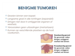 BENIGME TUMORENBENIGME TUMOREN
 Groeien binnen een kapsel;
 Langzame groei in alle richtingen (expansief);
 Dringen niet door in omliggende organen of
weefsels;
 Veroorzaken geen uitzaaiingen (metastasen);
 Kunnen op verschillende plaatsen op de huid
voorkomen.
 