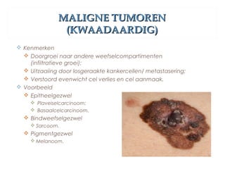 MALIGNE TUMORENMALIGNE TUMOREN
(KWAADAARDIG)(KWAADAARDIG)
 Kenmerken
 Doorgroei naar andere weefselcompartimenten
(infiltratieve groei);
 Uitzaaiing door losgeraakte kankercellen/ metastasering;
 Verstoord evenwicht cel verlies en cel aanmaak.
 Voorbeeld
 Epitheelgezwel
 Plaveiselcarcinoom;
 Basaalcelcarcinoom.
 Bindweefselgezwel
 Sarcoom.
 Pigmentgezwel
 Melanoom.
 