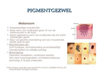 PIGMENTGEZWELPIGMENTGEZWEL
Melanoom
 Kwaadaardige moedervlek;
 Deze vorm van huidkanker gaat uit van de
melanocyten in de huid;
 Meest agressieve vorm van huidkanker die het snelst
uitzaaiingen geeft;
 Kleur- en grootte verandering van een moedervlek,
bloed, jeuk en pijn.
 Risicofactoren zijn:
Licht huidtype, zonverbranding op kinderleeftijd,
moedervlekken en erfelijke aanleg.
 Behandeling:
Operatief verwijderen, onderzoek weefsel,
dan weer huid wegsnijden, lymfeklieronderzoek,
bestraling, 5-10 jaar onderzoek.
https://www.youtube.com/watch?v=evYb-Z_VrKs&list=PLVoI_K5-
tYzIeN9FqMCtKYQgZPtwSkhkq
 