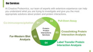 Brief Introduction of Protein-Protein Interactions (PPIs) Slide 14