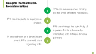 Brief Introduction of Protein-Protein Interactions (PPIs) Slide 4