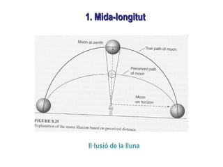 1. Mida-longitut1. Mida-longitut
Il·lusió de la lluna
 