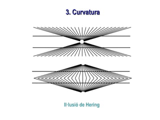 3. Curvatura3. Curvatura
Il·lusió de Hering
 