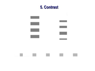5. Contrast5. Contrast
 