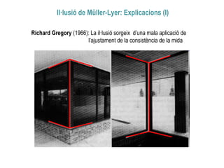 Il·lusió de Müller-Lyer: Explicacions (I)
Richard Gregory (1966): La il·lusió sorgeix d’una mala aplicació de
l’ajustament de la consistència de la mida
 