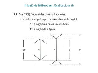 Il·lusió de Müller-Lyer: Explicacions (I)
R.H. Day (1989): Teoria de les claus contradictòries.
- La nostra percepció depen de dues claus de la longitut:
1. La longitut real de les línies verticals.
2. La longitut de la figura.
1 i 2 1 2
 