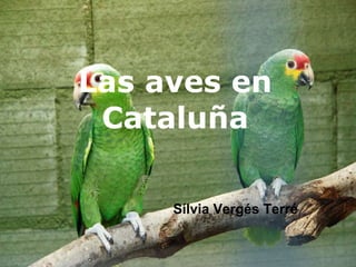 Las aves en Cataluña Sílvia Vergés Terré 