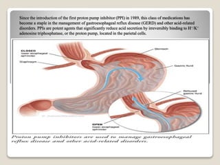 Reflux Inhibitor PROTON PUMP INHIBITORS IN TERMS OF LONG TERM USE | PPTX