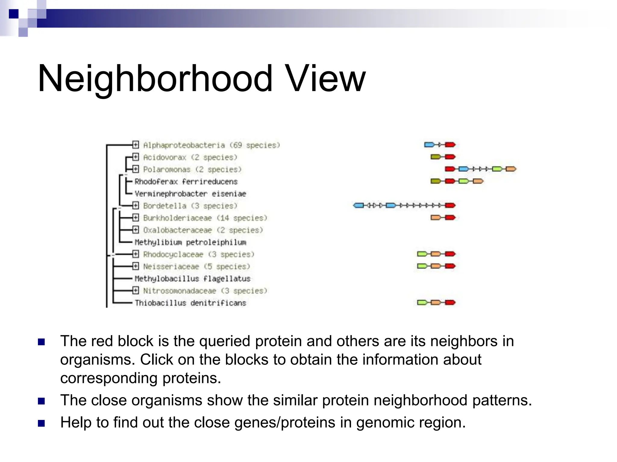 Protein protein interactions in systems biology | PPT