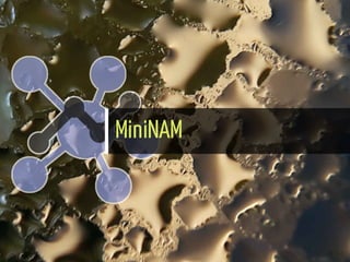 MiniNAM
24 / 61
 
