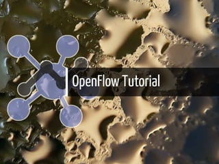 OpenFlow Tutorial
28 / 61
 