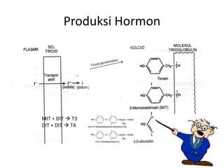 Produksi Hormon




MIT + DIT  T3
DIT + DIT  T4
 