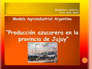 EXPERIENCIA DIDÁCTICA
                            EN EL NIVEL MEDIO


  Modelo Agroindustrial Argentino


“Producción azucarera en la
     provincia de Jujuy”
 
