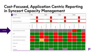 Details
Cost-Focused, Application Centric Reporting
in Syncsort Capacity Management
 