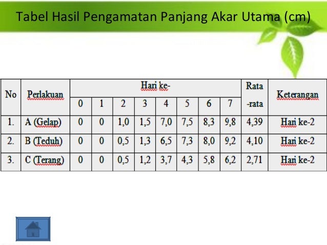 Tabel Pengamatan Pertumbuhan Kacang Hijau Ditempat Gelap