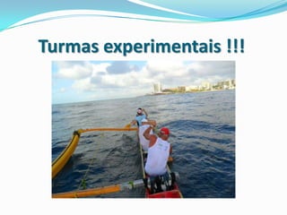 Turmas experimentais !!!
 