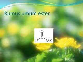 Rumus umum ester
 