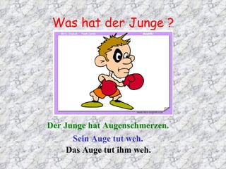 Was hat der Junge ? Der Junge hat Augenschmerzen. Sein Auge tut weh. Das Auge tut ihm weh. 