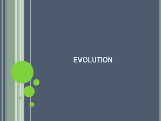 principles of programming languages | PPTX