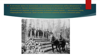  В настоящее время ни приисковые, ни подневольно-выборочные рубки официально не
применяются. Однако лесопромышленникам было не так выгодно срубать и вывозить
абсолютно все деревья, и они оставляли на вырубке самые худшие — малоценных пород,
повреждённые и больные. Такая система получила название условно-сплошной рубки.
 