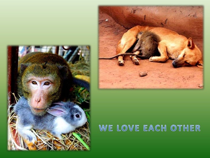 LOVE SENSE