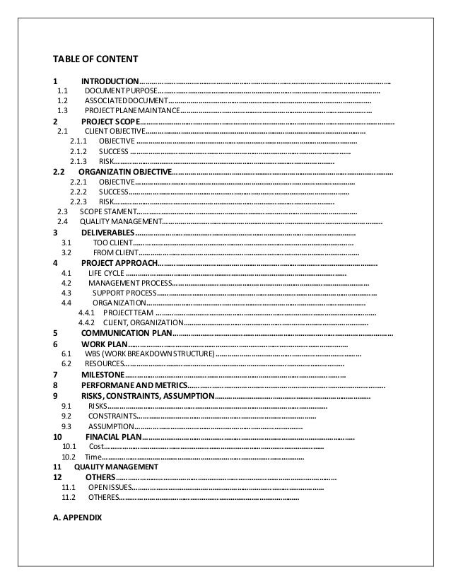 project plan document