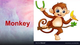 Monkey
