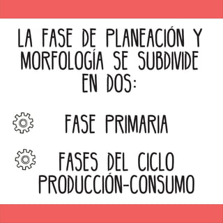 LA FASE DE PLANEACIÓN Y
MORFOLOGÍA SE SUBDIVIDE
EN DOS:
FASE PRIMARIA
FASES DEL CICLO
PRODUCCIÓN-CONSUMO
 