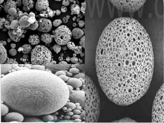 11M.Ali Asghar& M.Hammad Saeed
 