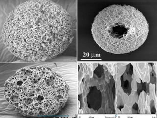 12M.Ali Asghar& M.Hammad Saeed
 